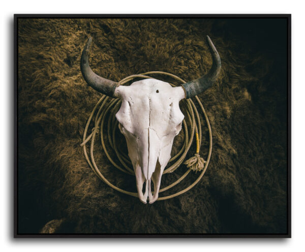 BISON SKULL ON HIDE - Image 3